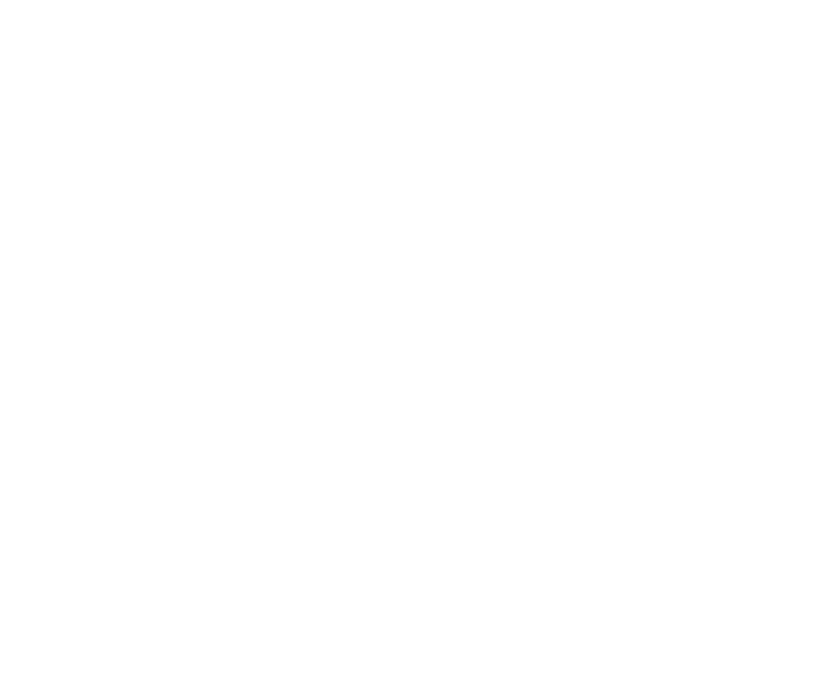 Dualisis